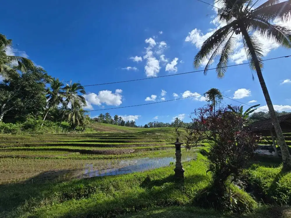 Dijual tanah dekat villa berkembang di tabanan bali