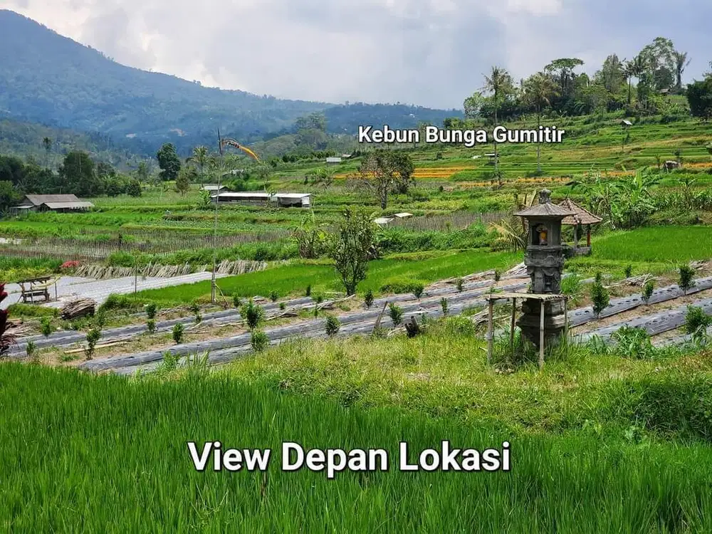 Dijual tanah kebun view sangat cantik di lingkungan villa di bali