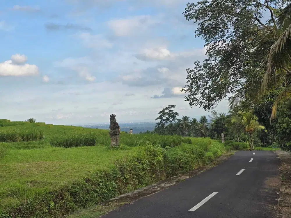 Dijual tanah kecil view laut dan sawah terasering di bali