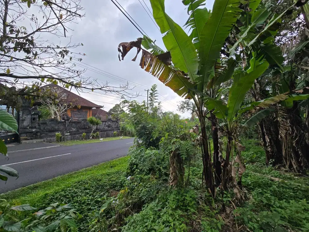 Dijual tanah premium dengan view lembah dan jugle datar di bali