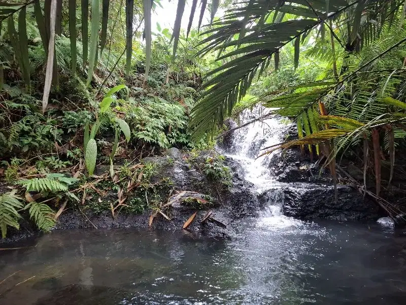 Dijual tanah kebun durian los sungai bebatuan di tabanan bali