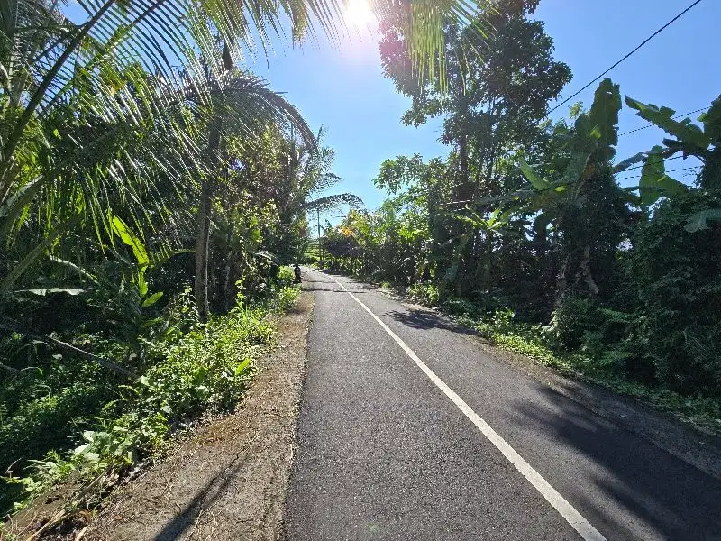 Dijual tanah los sungai dan view sawah di tabanan bali