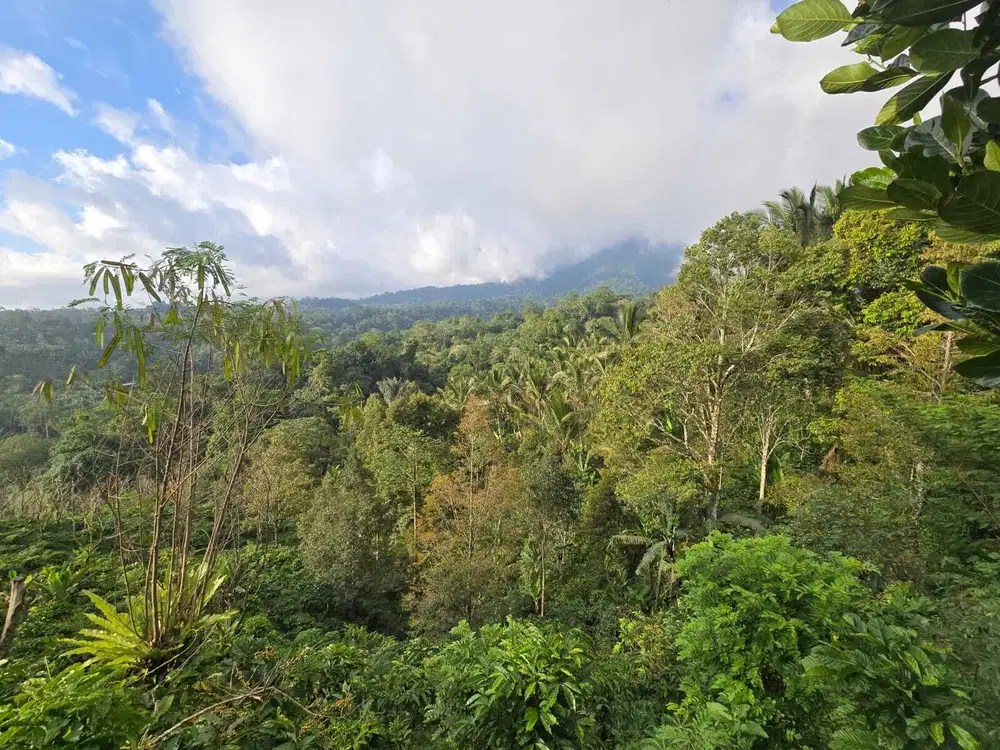 Dijual tanah kebun durian dengan view gunung yang cantik di bali