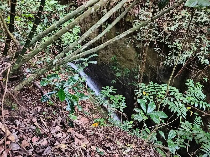 Dijual tanah murah  air terjun view bukit di munduk buleleng bali