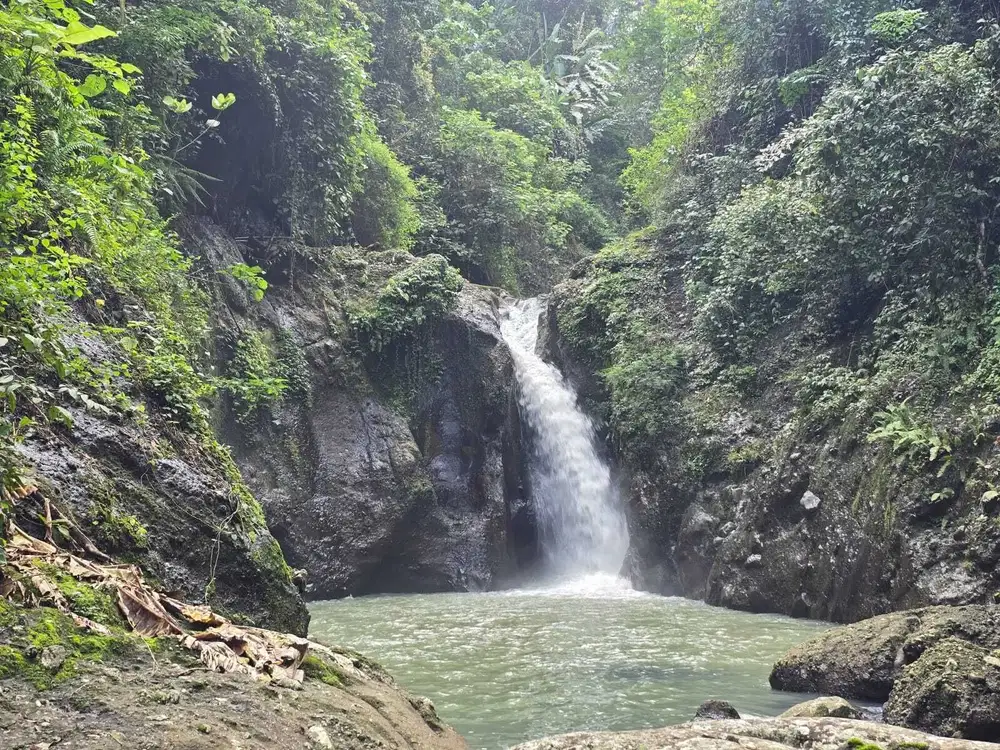 Dijual tanah dengan air terjun dan sungai cantik di bali