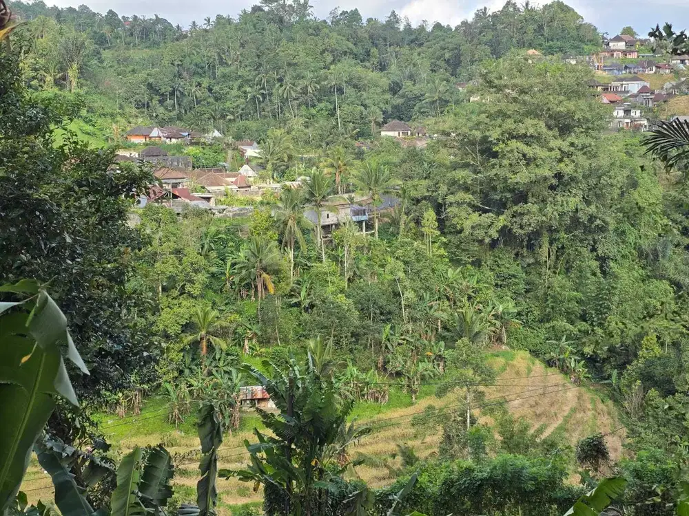 Dijual tanah akses jalan propinsi view sawah bukit di bali