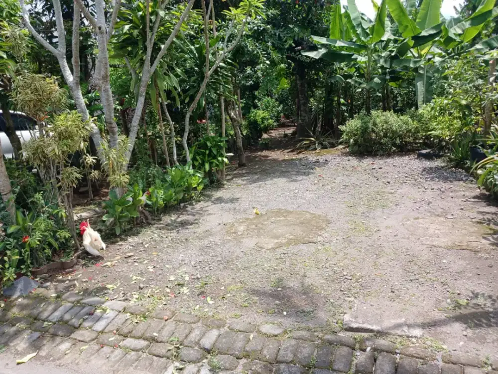 Tanah kapling buat hunian dan kos dekat kampus