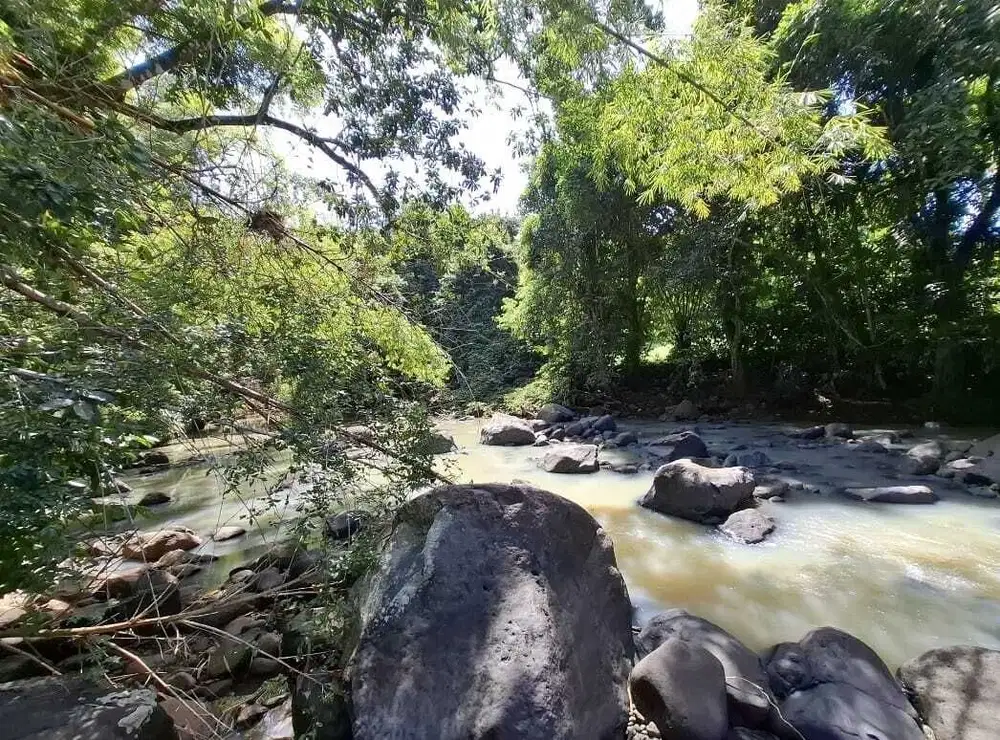 Dijual tanah dekat panta dengan sungai cantik di tabanan bali