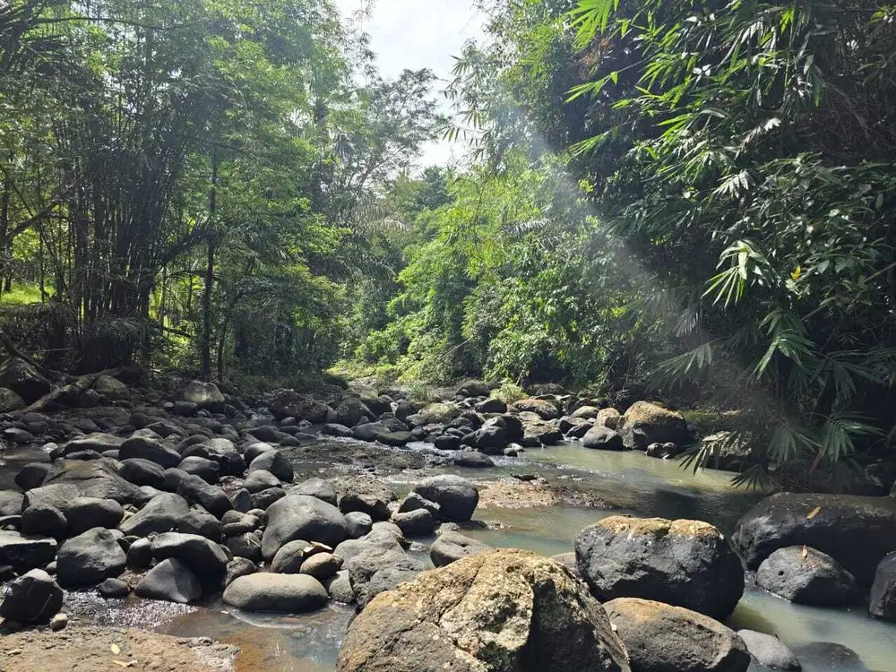 DIjual tanah dengan sungai bebatuan sangat cantik di tabanan bali