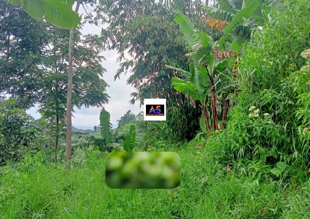 DIJUAL CEPAT TANAH MURAH SIAP DBANGUN RUMAH/BANGUNAN/VILLA DI BANDUNG