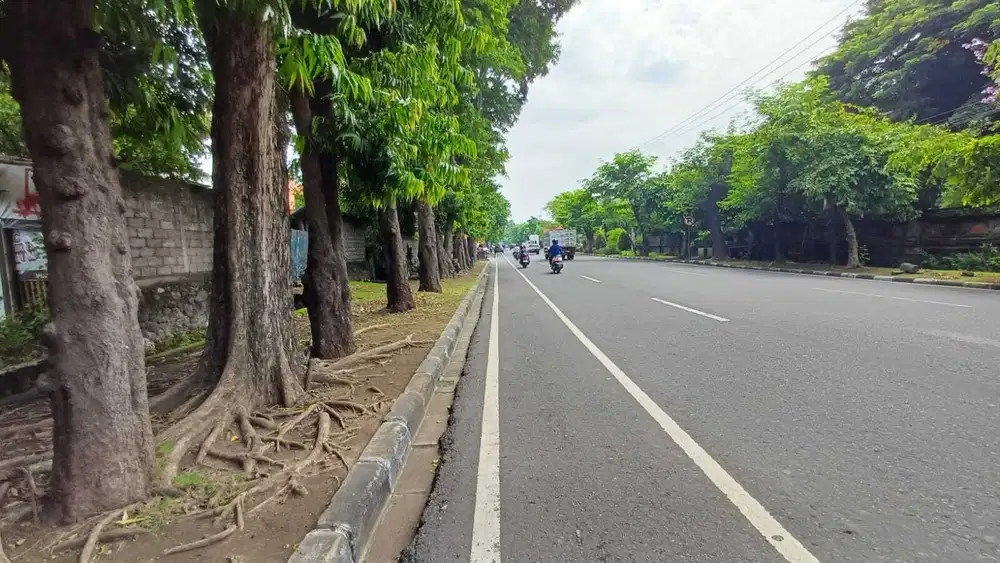 Tanah jl utama cok agung tresna dijual atau sewakan