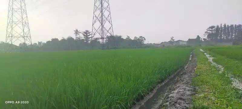 Tanah Luas di tengah Kota Malang