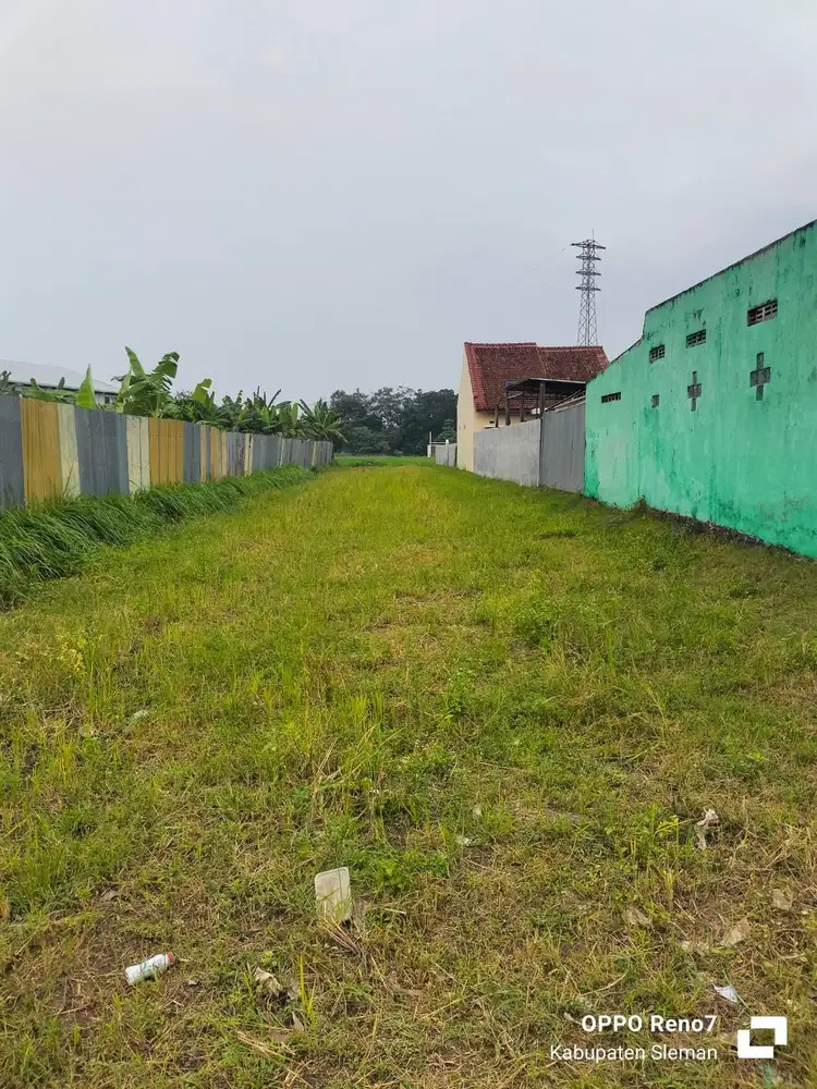 BU Tanah shm jl cangkringan purwomartani,utara Lemah Ledok Kalasan