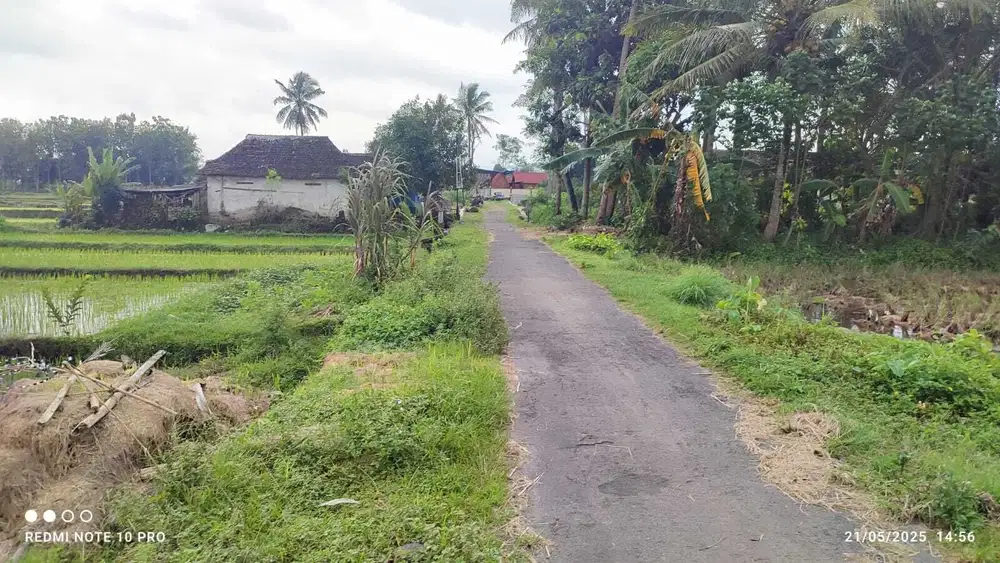 DIJUAL TANAH SAWAH DEKAT JALAN PALAGAN KM 11 SLEMAN YOGYAKARTA