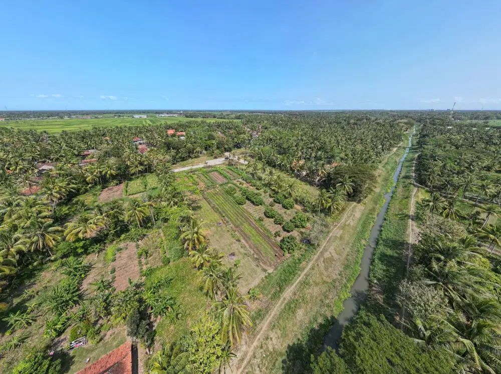 Area Bandara NYIA; Tepi Aspal; SHM