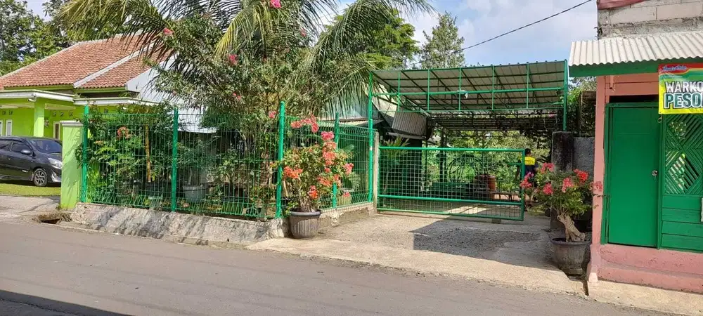 Lahan kebun buah dan tanaman hias