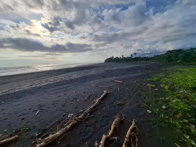 Dijual tanah murah los pantai di pasut tabanan bali