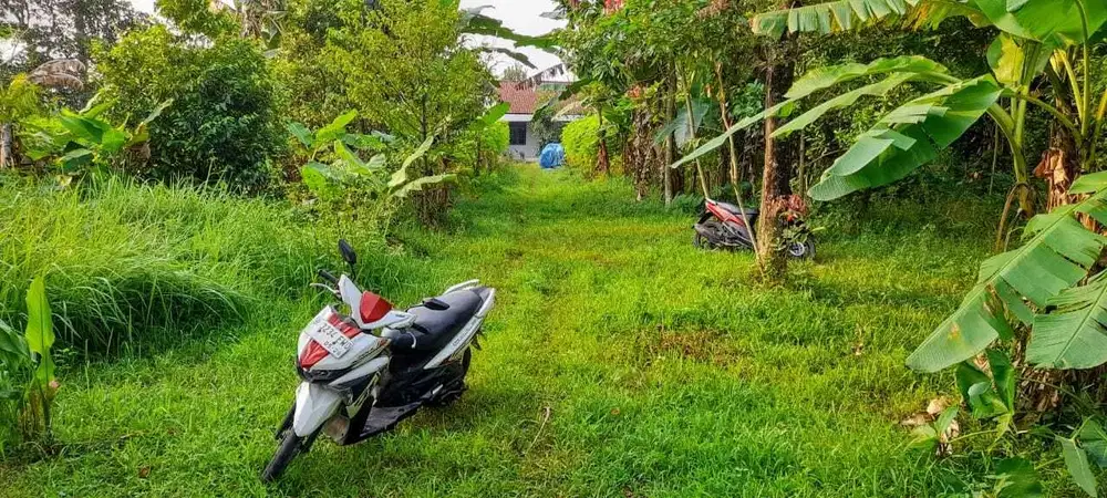 Tanah datar dan produktif di Bogor Barat