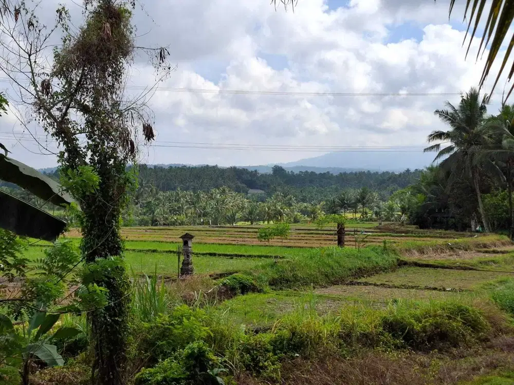 Dijual tanah view sawah dan gunung di tabanan bali
