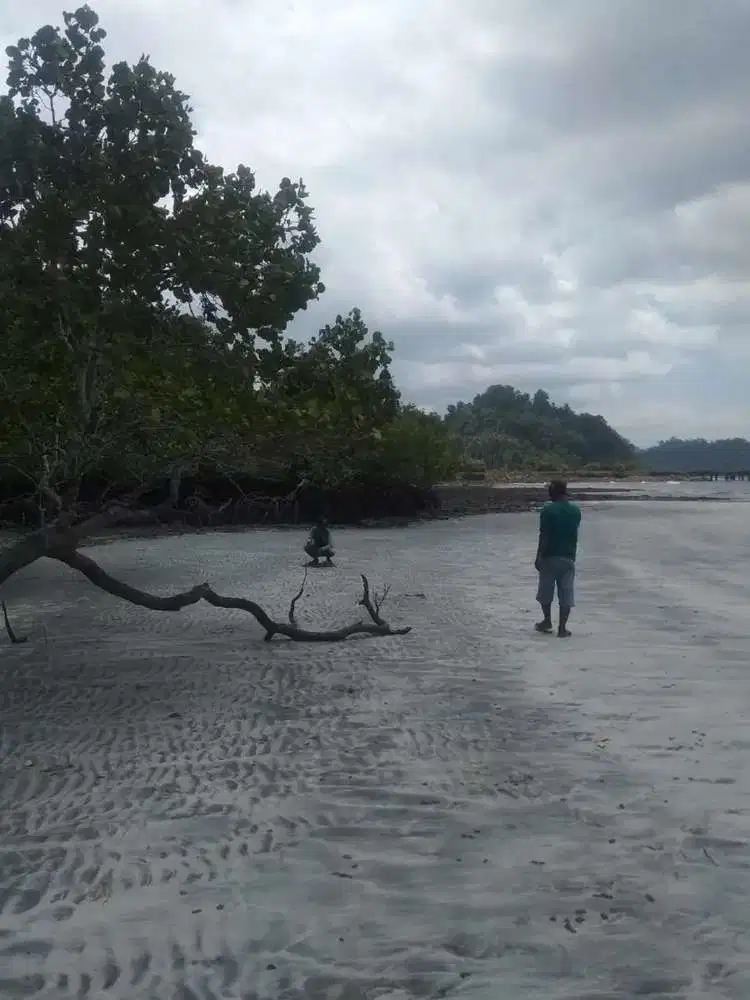 Jual tanah raja ampat