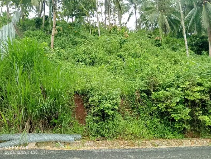 tanah cocok untuk vila di beringin raya kemiling