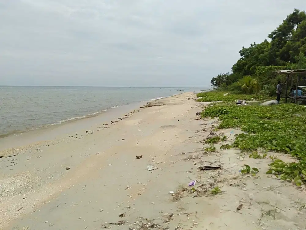 Di lepas cepat tanah di pantai Nusantara Singaraja langsung pantai