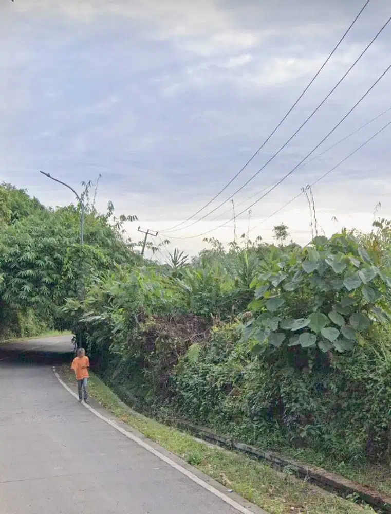 Tanah di Jl Provinsi,Jl Raya Jasinga Bogor