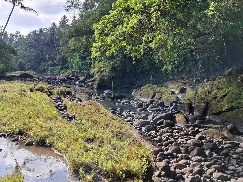 Dijual tanah los sungai dengan view sawah di tabanan bali