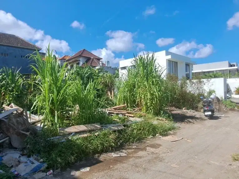 Dijual tanah premium di padonan canggu bali