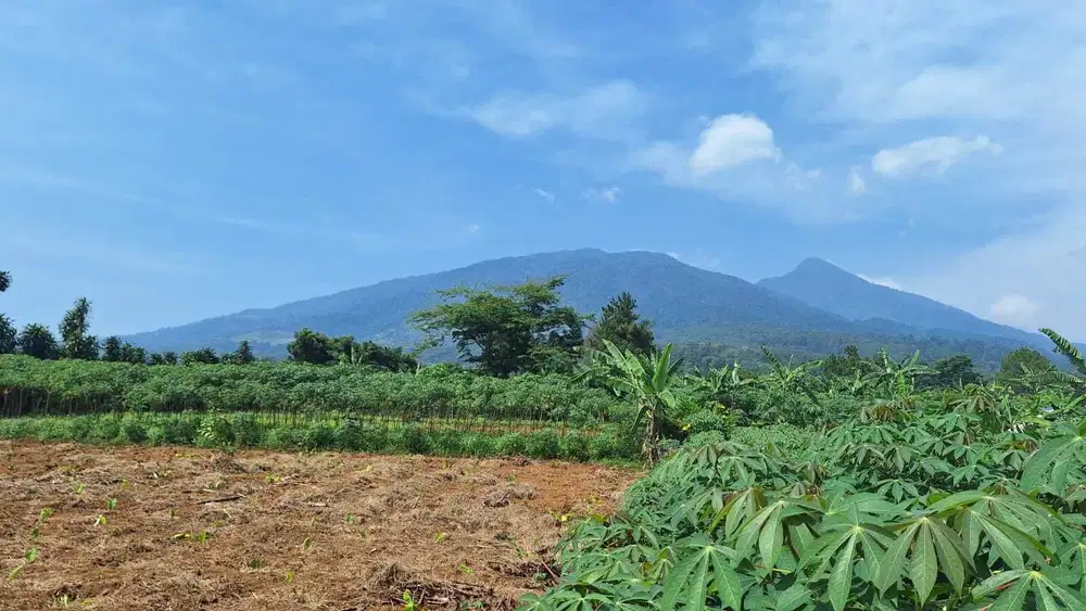 Dijual Lahan Kebun 7,000m2 SHM di Cijeruk Bogor