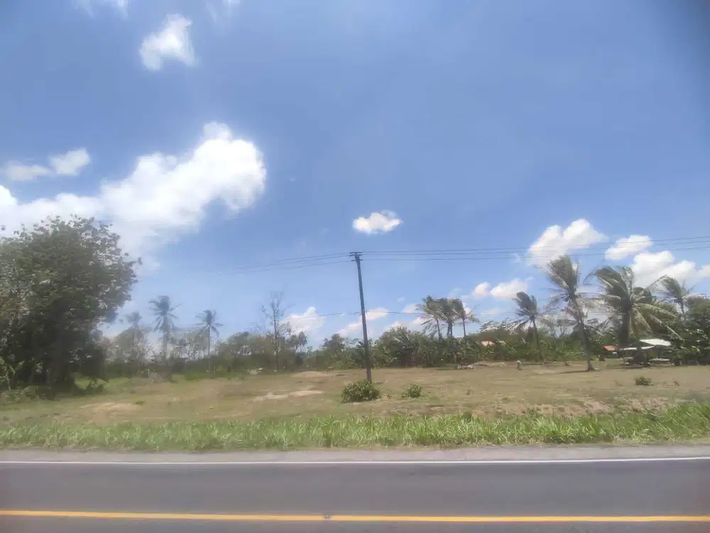 Tanah pinggir lintas sumatera dekat pintu tol sidomulyo