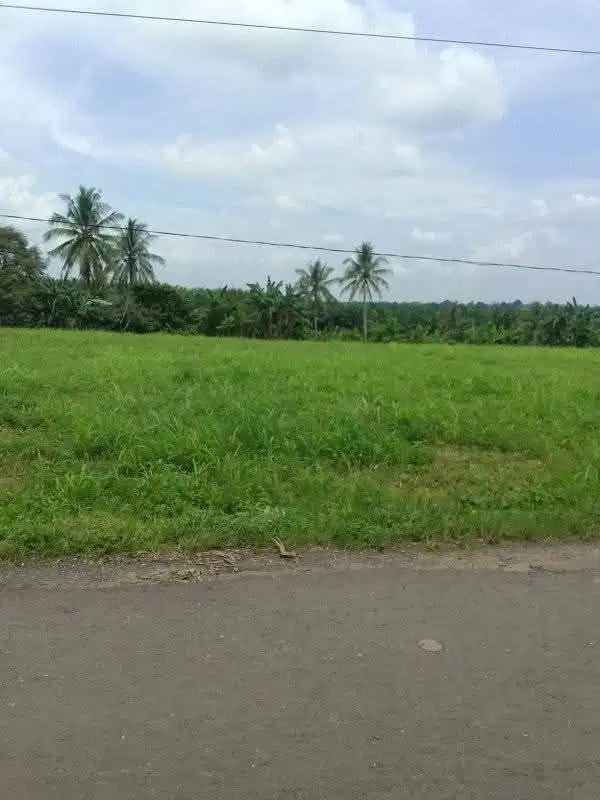 tanah 8,7 hektar pinggir jalan  aspal natar
