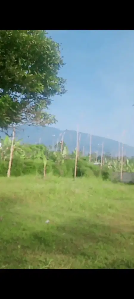 Dijual lahan kebun 1500m2 SHM di kaki Gunung Salak Cigombong Bogor
