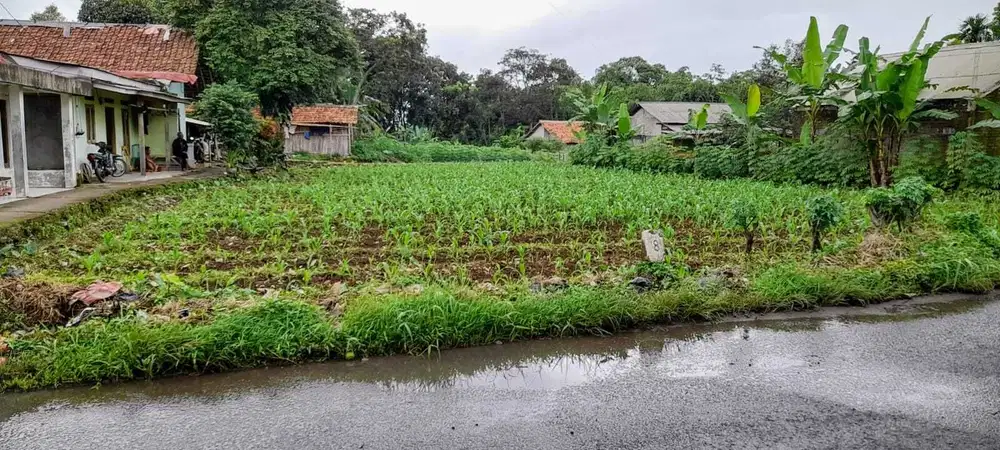 Tanah murah jalur wisata