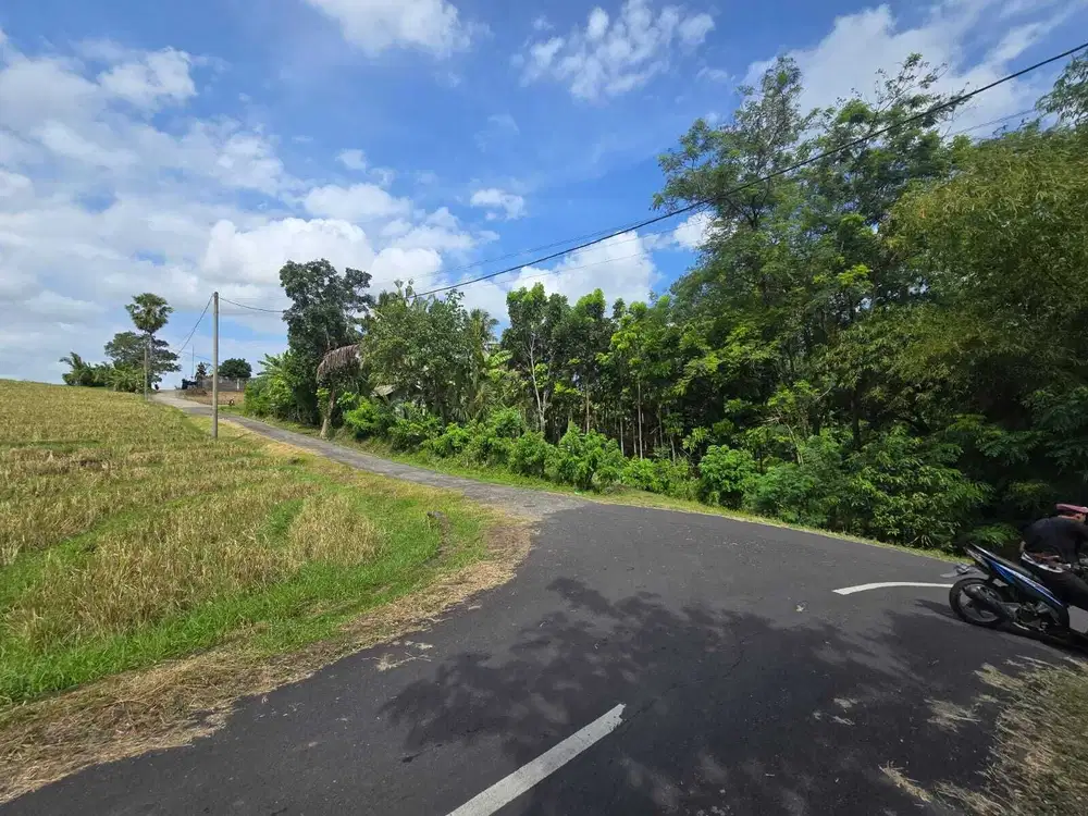 Dijual tanah kecil zona kuning dengan view sawah di tabanan bali