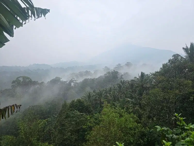 Dijual tanah kebun durian view lembah dan gunung
