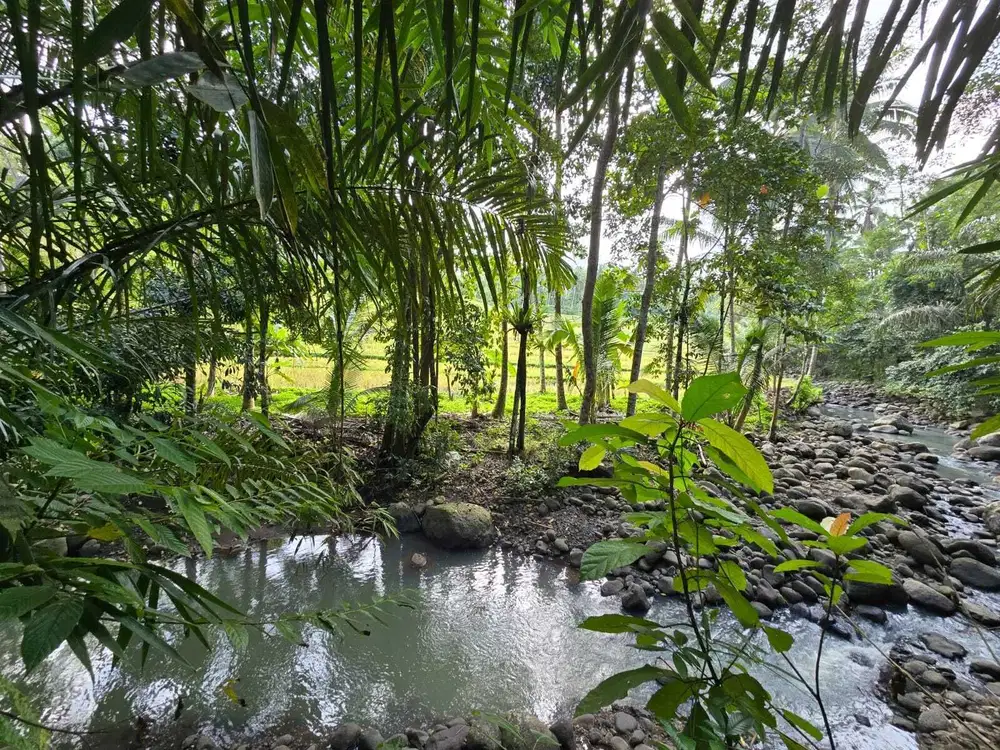Dijual murah tanah datar dengan sungai dan view sawah di tabanan bali