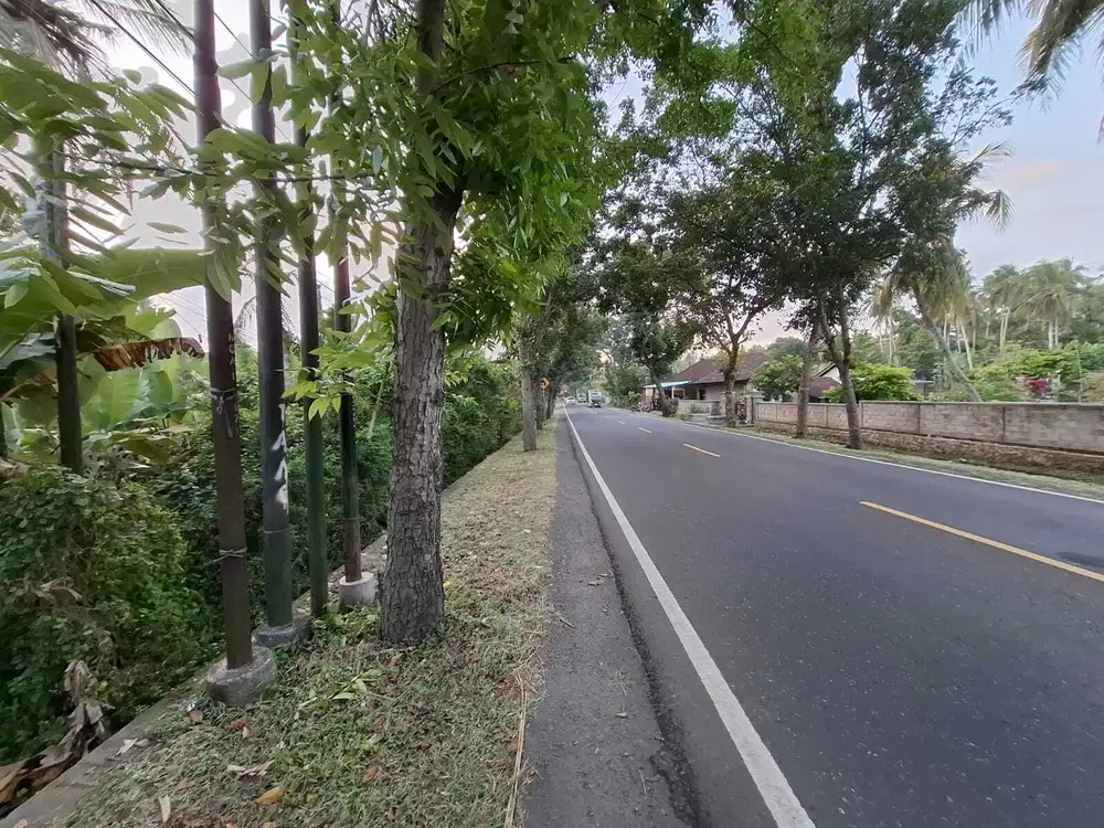 Dijual tanah kebun kelapa view sawah akses jalan propinsi di bali