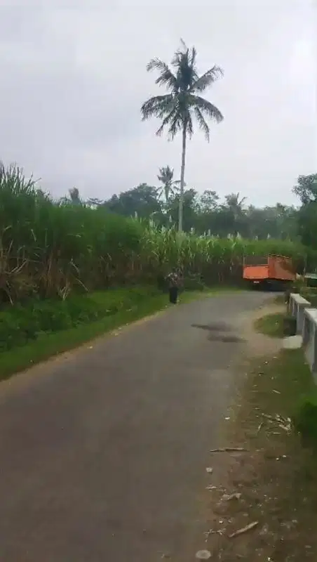 Dijual Lahan Datar Di Pringu Wajak