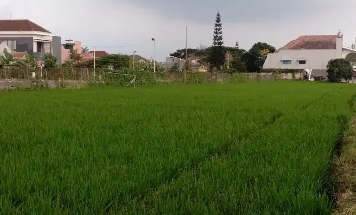 Langka! 7 jutaan per meter Tanah Komersil di Pusat Kota Malang