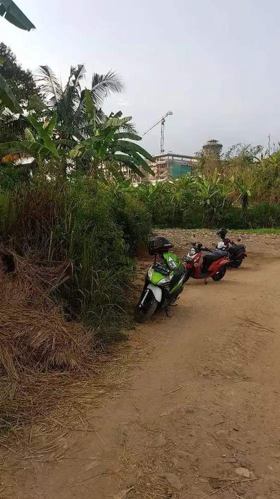 Tanah Dijual Murah Di dekat Kampus Untirta Baru