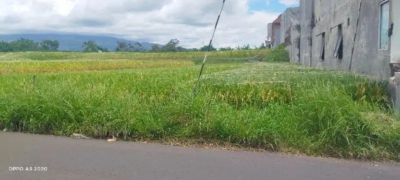 DIJUAL MURAH tanah strategis dekat kampus UMM UB UNISMA