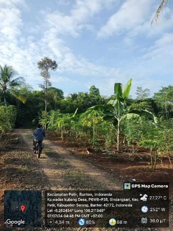 Tanah Kebun Dijual di Serang lokasinya datar banget pinggir jalan Desa