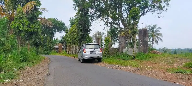 Dijual Super Murah Lahan Strategis Di Poros Ngajum Dekat Jalibar