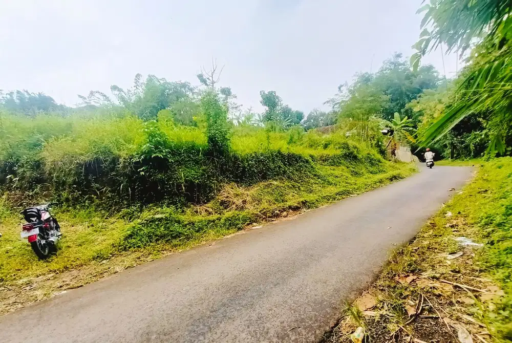 TANAH 1.5H KUNING SIAP BANGUN PERUMAHAN DI BARAT ALUN2 MAGELANG