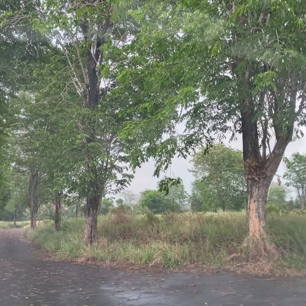 Kavling tanah Murah posisi hook citra indah