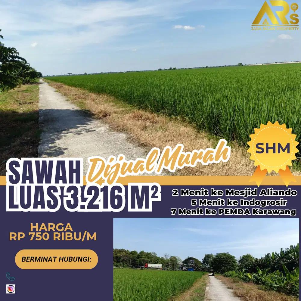 Hasil Panen 2 Ton Luas 3216 m Dijual Sawah Murah Rp 750rb/m