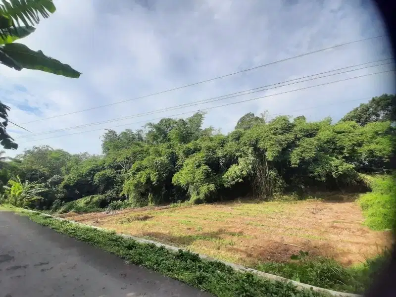 INVESTASI TANAH SAWAH 2100M DI BANDONGAN