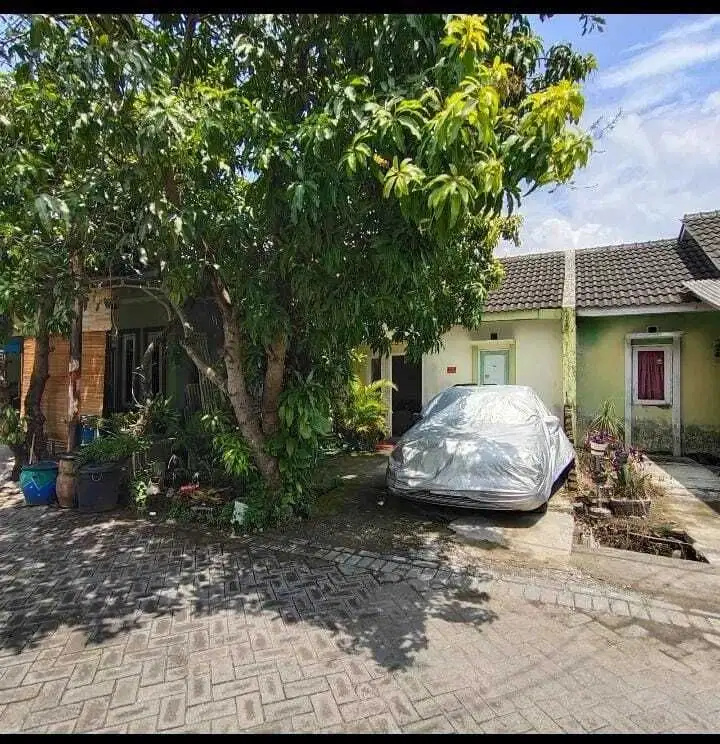 Rumah murah tulangan Sidoarjo perumahan