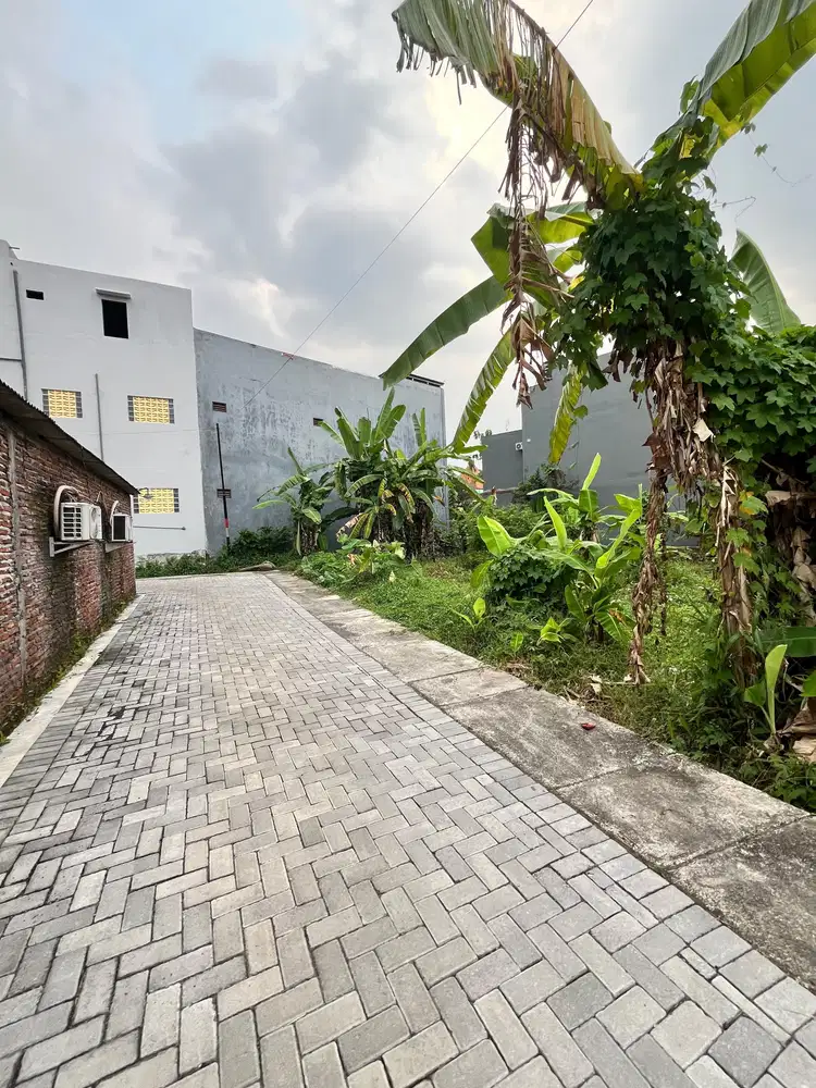 TANAH RING 1 UNDIP TEMBALANG SIAP UNTUK BANGUN KOST